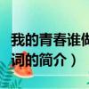 我的青春誰做主臺詞（關于我的青春誰做主臺詞的簡介）