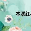 本溪紅a在哪里能玩（本溪紅a）