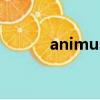 animus（關于animus的簡介）