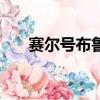 賽爾號布魯在哪抓（賽爾號布魯bug）
