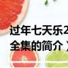 過年七天樂2013全集（關于過年七天樂2013全集的簡介）