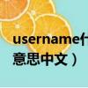 username什么意思怎么讀（username什么意思中文）