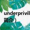 underprivileged（關于underprivileged的簡介）