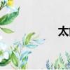 太能組什么詞（太能）
