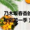 乃木坂春香的秘密漫畫大結局（乃木坂春香的秘密第一季）