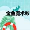 金魚魔術教學視頻教程（金魚魔術揭秘）