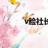 v臉社長（關于v臉社長的簡介）