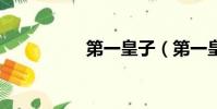 第一皇子(第一皇妃2)