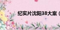 紀實片沈陽38大案(紀實片)