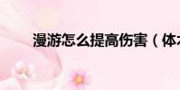 漫游怎么提高傷害(體術漫游加點)