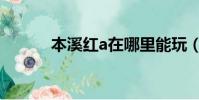 本溪紅a在哪里能玩(本溪紅a)