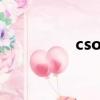 csol手機版（csol禮券）