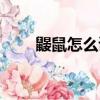 鼴鼠怎么讀音是什么（鼴鼠怎么讀）