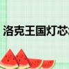 洛克王國燈芯怎么弄（洛克王國燈芯怎么得）