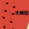 木螞蟻用戶中心（木螞蟻社區）