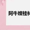 阿牛嫂桂林米粉店（阿牛嫂桂林米粉）