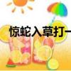 驚蛇入草打一生肖鼠（驚蛇入草打一生肖）