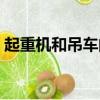 起重機和吊車的區別（起重機和吊車的區別）