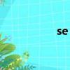 se block（se blank）