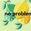 no problem（關于no problem的介紹）