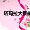 塔瑪拉大櫻桃品種怎么樣（塔瑪拉十三紀）