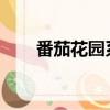 番茄花園系統win7（番茄花園系統）