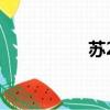 蘇27ubk（蘇27價格）
