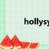 hollysys什么牌子（hollyshit）