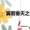 翼若垂天之云什么意思（翼若垂天之云）