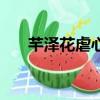 芊澤花虐心內容介紹（芊澤花廣播劇）