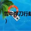 雪中悍刀行趙楷（關于雪中悍刀行趙楷的簡介）