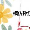 模仿孫紅雷霹靂舞（模仿孫紅雷）