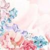禺毛茛（禺）