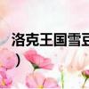 洛克王國雪豆丁長什么樣子（洛克王國雪豆丁）