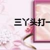 三丫頭打一字是什么（三丫頭打一字）