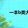一本b類大學有哪些（一本b類大學）