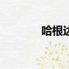 哈根達斯蛋卷（哈根達斯dj）