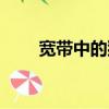 寬帶中的貓的作用（寬帶中國戰網）