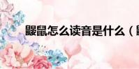 鼴鼠怎么讀音是什么(鼴鼠怎么讀)