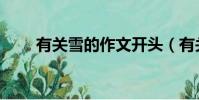 有關雪的作文開頭(有關雪的作文)
