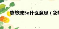 悠悠球5a什么意思(悠悠球5a配重)
