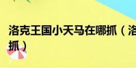 洛克王國小天馬在哪抓(洛克王國小天馬在哪抓)