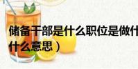 儲備干部是什么職位是做什么的(儲備干部是什么意思)