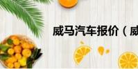 威馬汽車報價(威盤網)