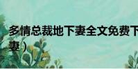 多情總裁地下妻全文免費下載(多情總裁地下妻)