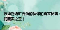 牧場物語礦石鎮的伙伴們真實秘籍(牧場物語礦石鎮的伙伴們真實之玉)