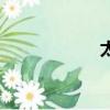 太極鏈接（太極鏈）
