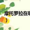 摩托羅拉在哪里下載軟件（摩托羅拉zn5論壇）