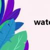 watermelons是什么意思