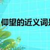 仰望的近義詞是什么 三年級（仰望的近義詞）